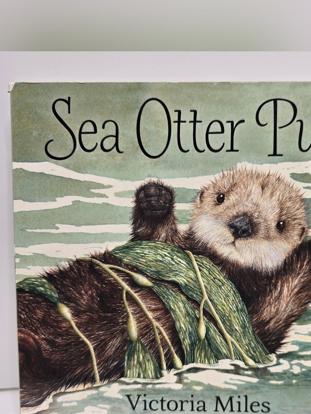 Sea Otter Pup By Victoria Miles and Elizabeth Gatt Childrens Board Book